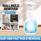 🔥2026 Hot Sale🔥Highly Effective Mould Removal Spray - Prevents Mould Regrowth