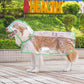 🌧️ Clear Dog Raincoat