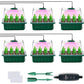 🔥50% discount while stocks last!🎉Seed starter trays with grow light
