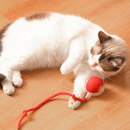 🐱🐶Smart Automatic Rolling Pet Ball