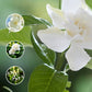 Long-Lasting Fragrance Body Mist