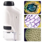 🔥New Year Hot Sale🔥 50% Off - Kid's Portable Pocket Microscope - Buy 2 Free Shipping