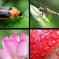 Master Phone Photography Kit