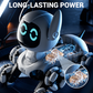RC Robot Dog Toy Set for Kids
