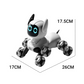 RC Robot Dog Toy Set for Kids