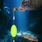 🎣⚡ Double-Hook Reverse Bottom Rig! Upgraded version boosts hook-up rate by 50% – say goodbye to snagging! 🎣
