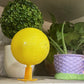 ⏰🎁Sticky Fruit Fly Trap Ball with Stand & LED