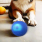 📢📢50% OFF !! ⏰Interactive bouncing ball specially designed for dogs.🐾🐾