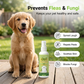 Gentle 4-in-1 Pet Spray