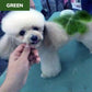 🔥Hot Sale 50% OFF🔥 Non-Toxic Pet Hair Color Dye – Temporary, Washable, 12 Colors, for Dogs & Cats 🐶