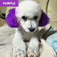 🔥Hot Sale 50% OFF🔥 Non-Toxic Pet Hair Color Dye – Temporary, Washable, 12 Colors, for Dogs & Cats 🐶