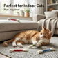 😻Interactive Swab Cat Toy with Catnip