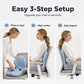🎉 LIMITED TIME 50% OFF! 🪑 Ergonomic Memory Foam Seat Cushion with Back Support – Posture Correction, Pressure Relief & Breathable Design ✨