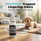 🔥Limited Time Promotion 50% OFF🔥Deep Cleaning Carpet Cleaner Spray – Effortlessly Erase Pet Messes & Bad Smells✨
