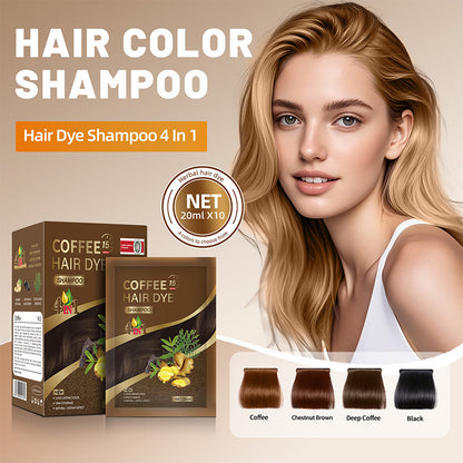 4-in-1 Herbal Hair Dye Shampoo