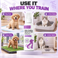 Potty Training Spray